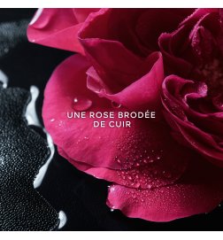 La Petite Robe Noire - Schwarze Rose - Eau de Parfum